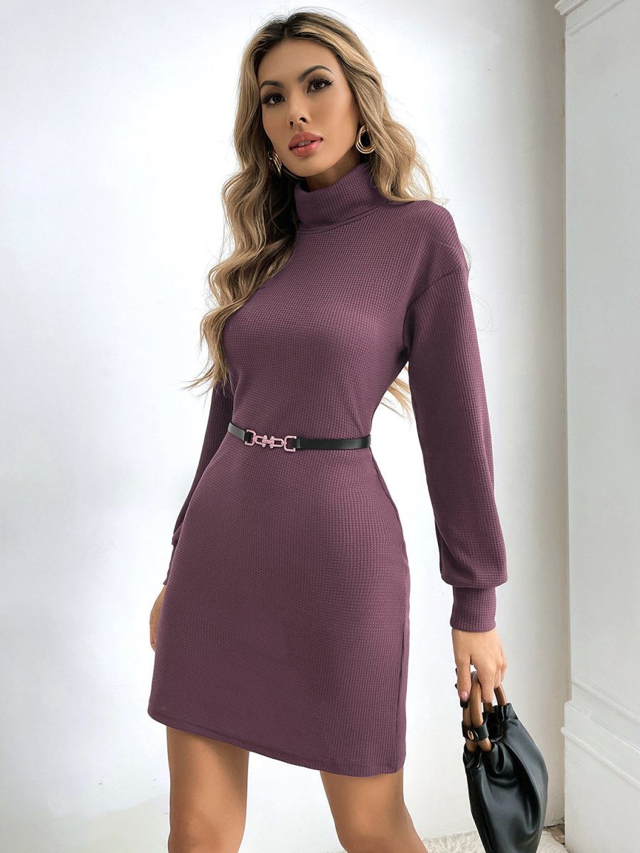Modest Charm Turtleneck Mini Sweater Dress #Firefly Lane Boutique1
